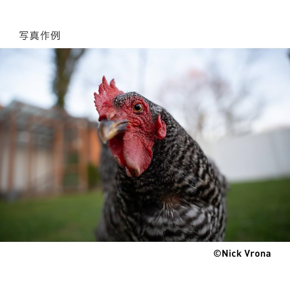 SIGMA - 【値上げ前】sigma2470dgdn art Amazon.co.jp: シグマ(Sigma) レンズ 24-70mm F2.8 DG DN II